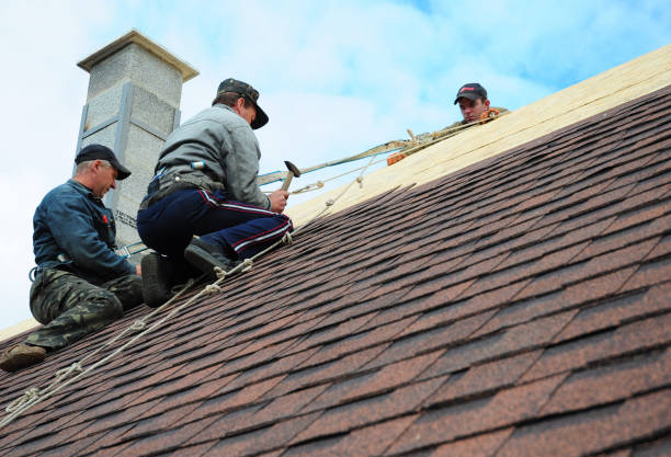 Best Roof Gutter Cleaning  in Banks Springs, LA